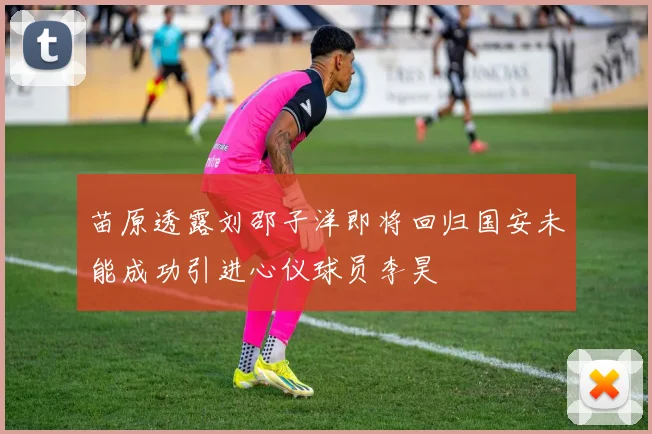 苗原透露刘邵子洋即将回归国安未能成功引进心仪球员李昊