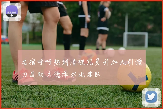 名宿呼吁热刺清理冗员并加大引援力度助力德泽尔比建队